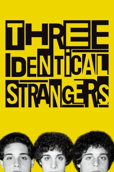 Poster Three Identical Strangers