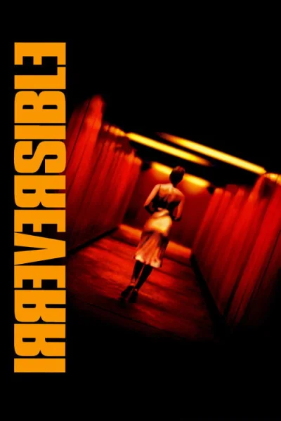 Poster Irréversible