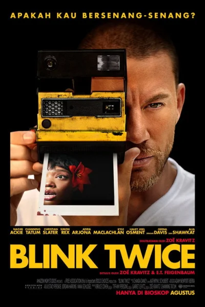 Poster Blink Twice